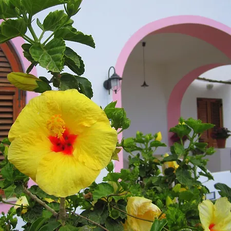 Гостевой дом Rosa Липари