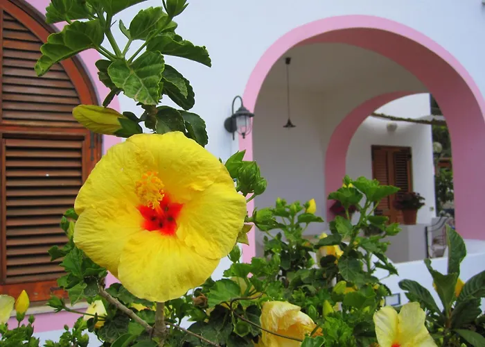 ゲストハウス Rosa リーパリ