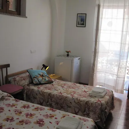 Rosa Città di Lipari