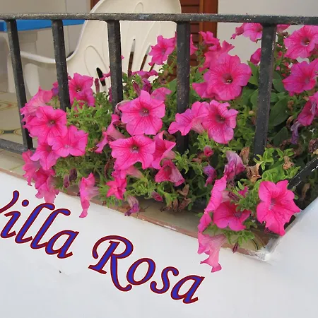 Guest house Rosa 3*